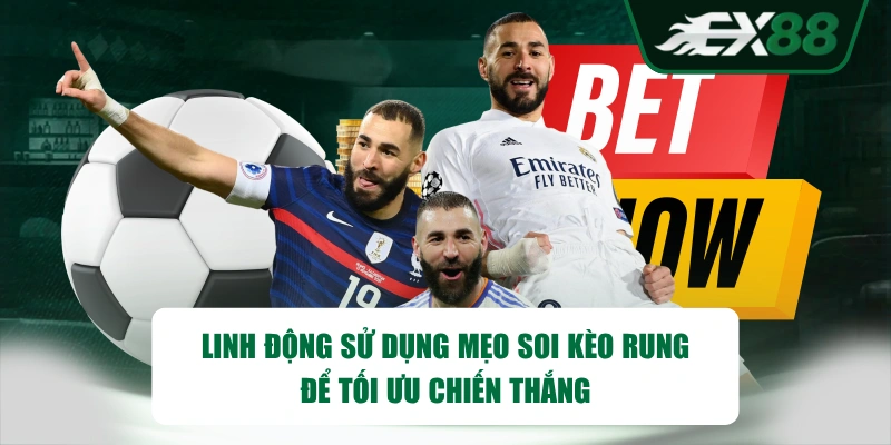 Linh động sử dụng mẹo soi kèo rung để tối ưu chiến thắng